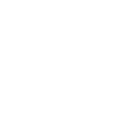 Disruptive Media logo